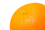 Your citrus personality result