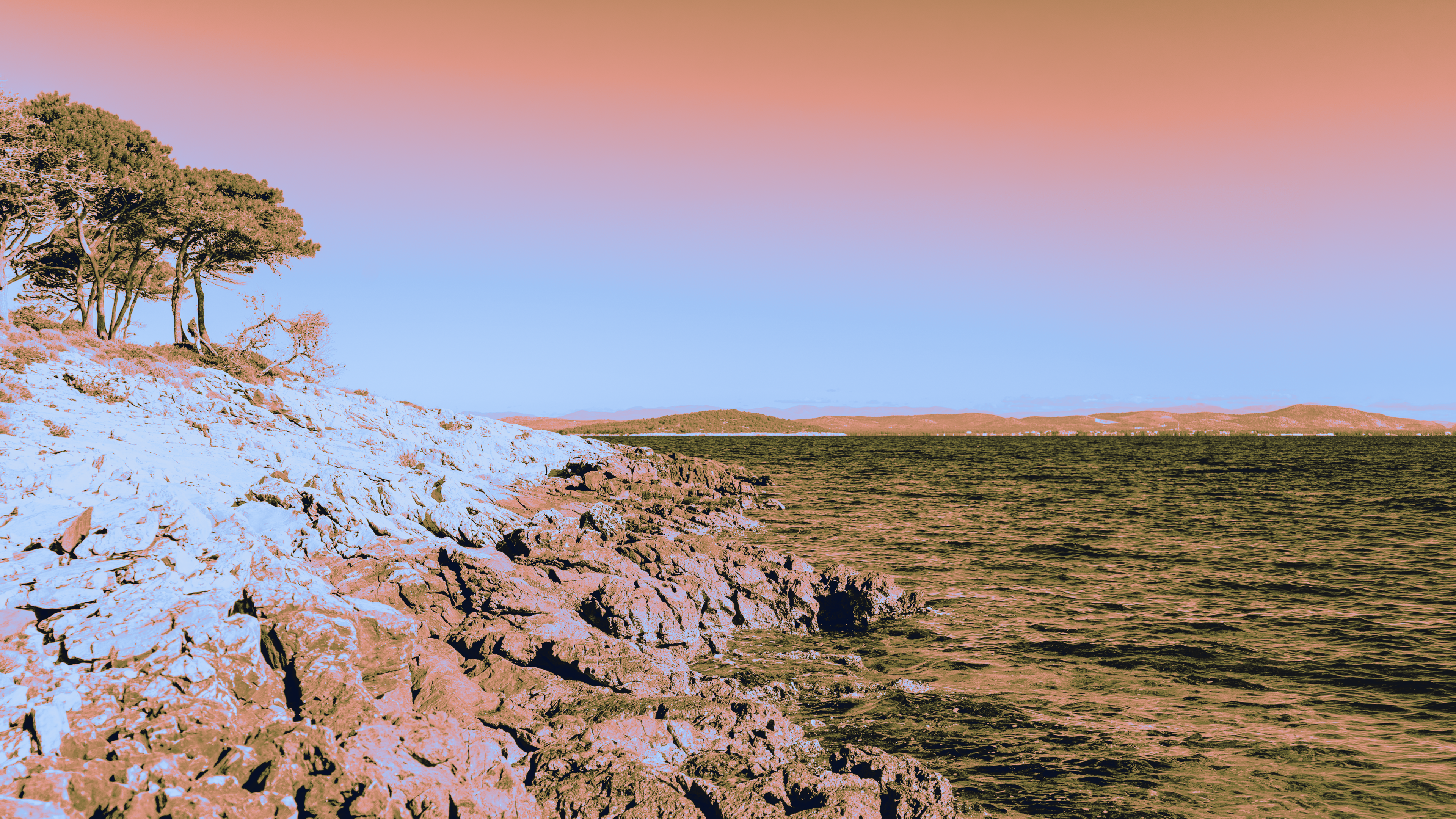 P26 treated island 2