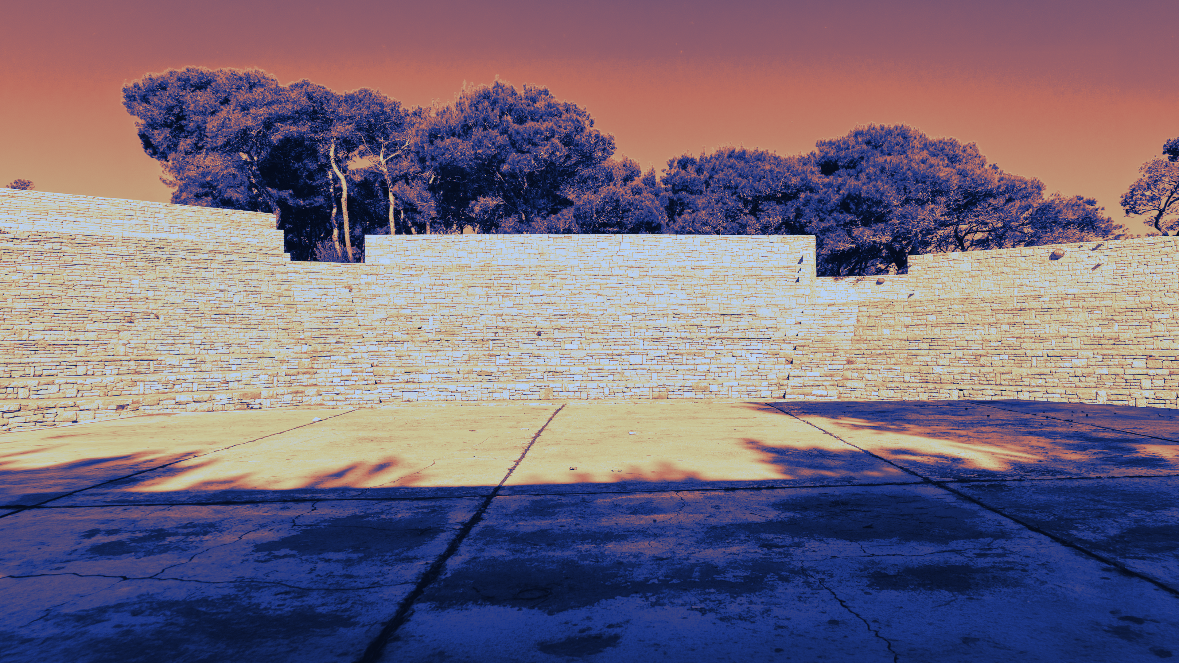 P26 treated island 4