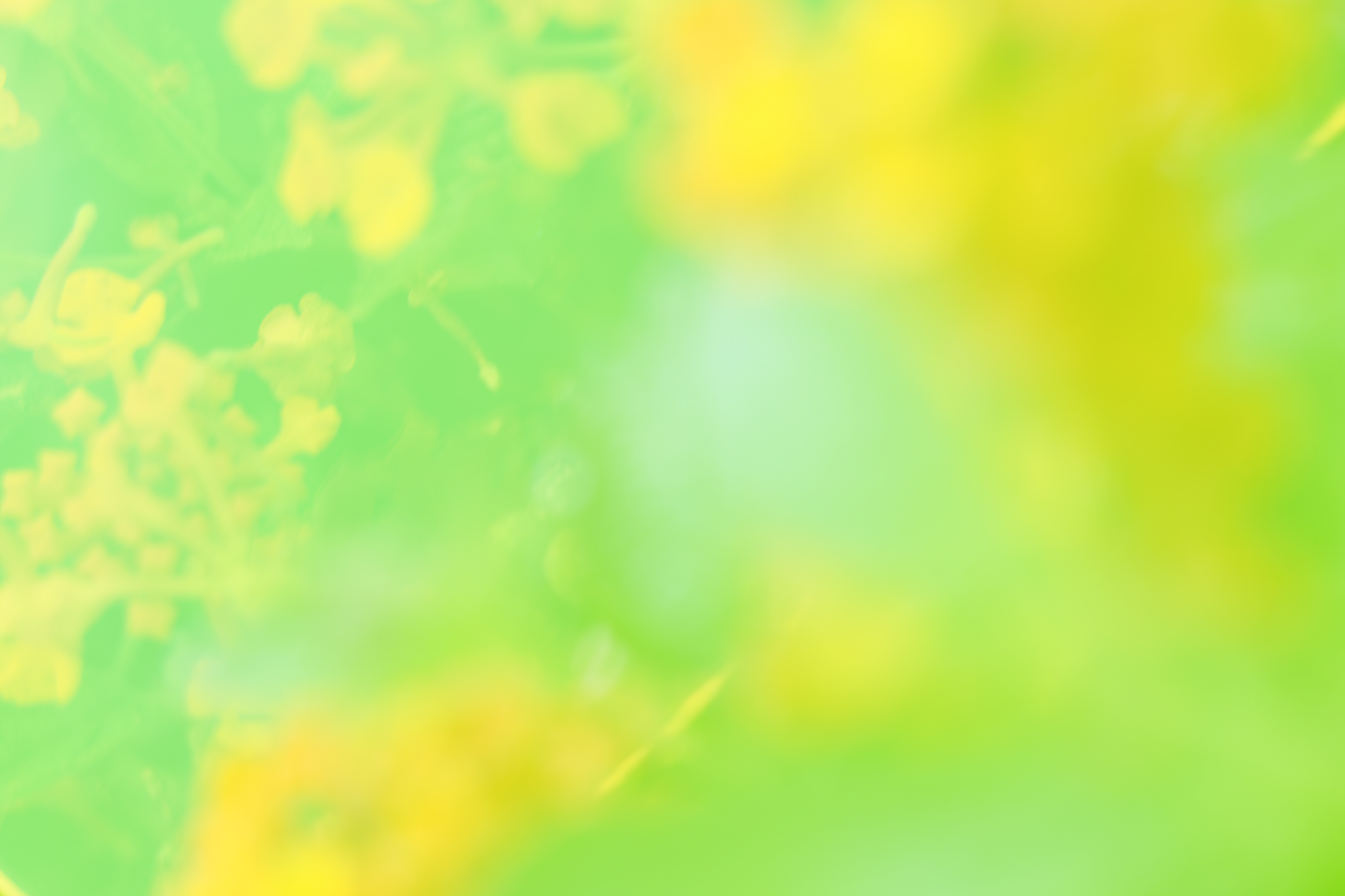 craft\elements\db\ElementQuery
