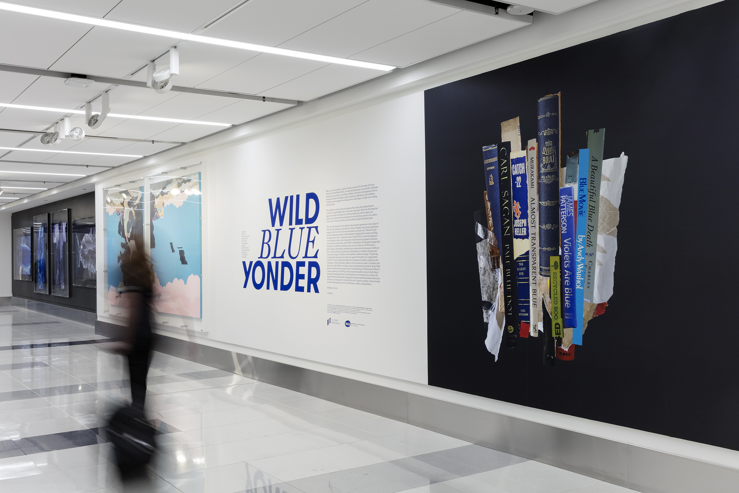 LAX Art Program