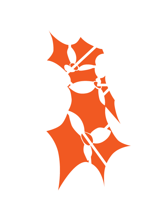 craft\elements\db\ElementQuery