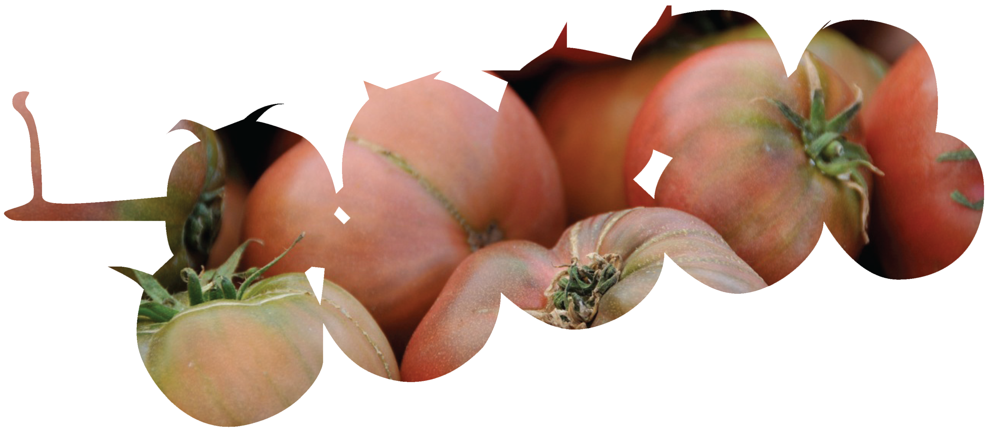 craft\elements\db\ElementQuery