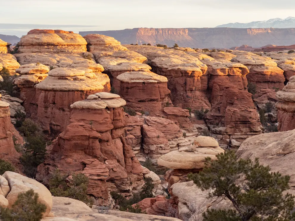 Canyonlands moab