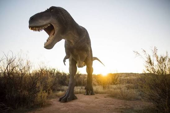 Dino moab