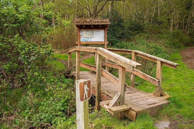 Doorthy cleveland trail