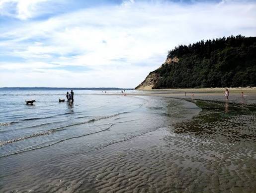 Double bluff beach whidbey