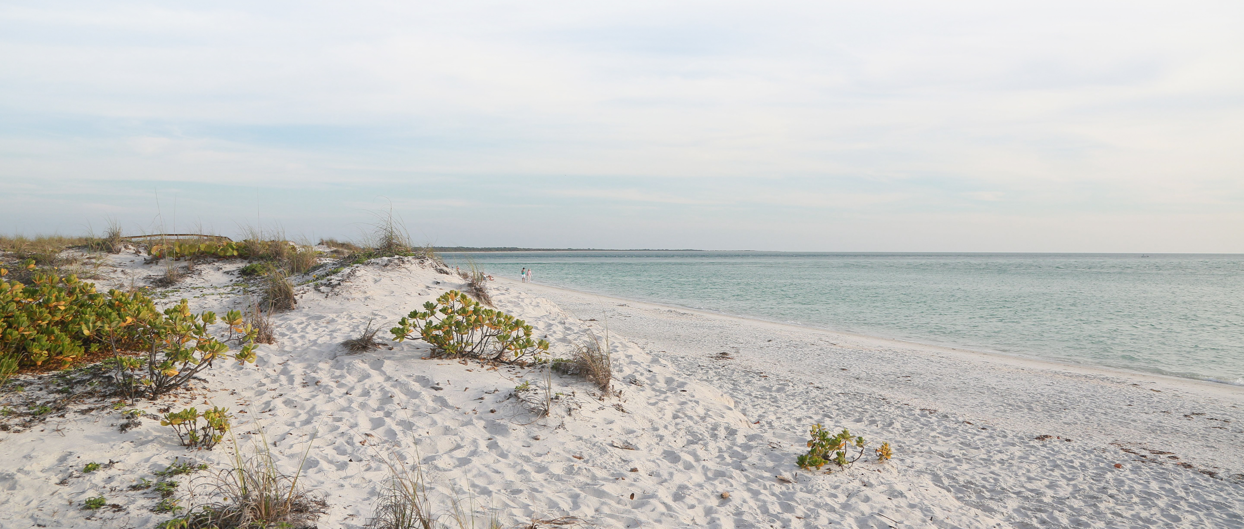 Forgotten Coast Header