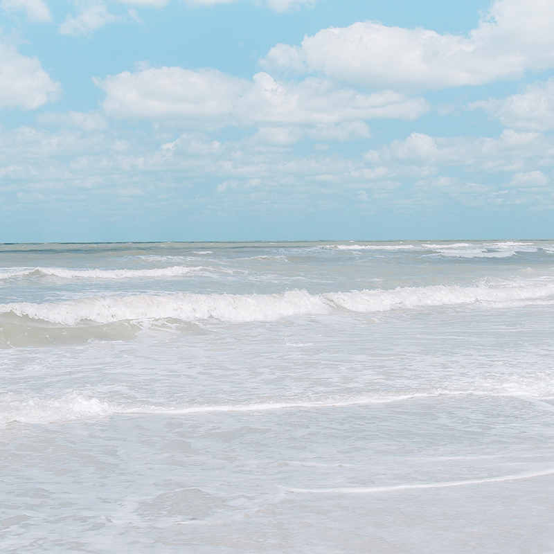 Forgotten Coast Thumbnail 2x