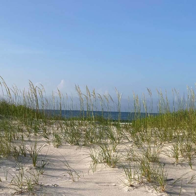 Gulf Shores Thumbnail 2x