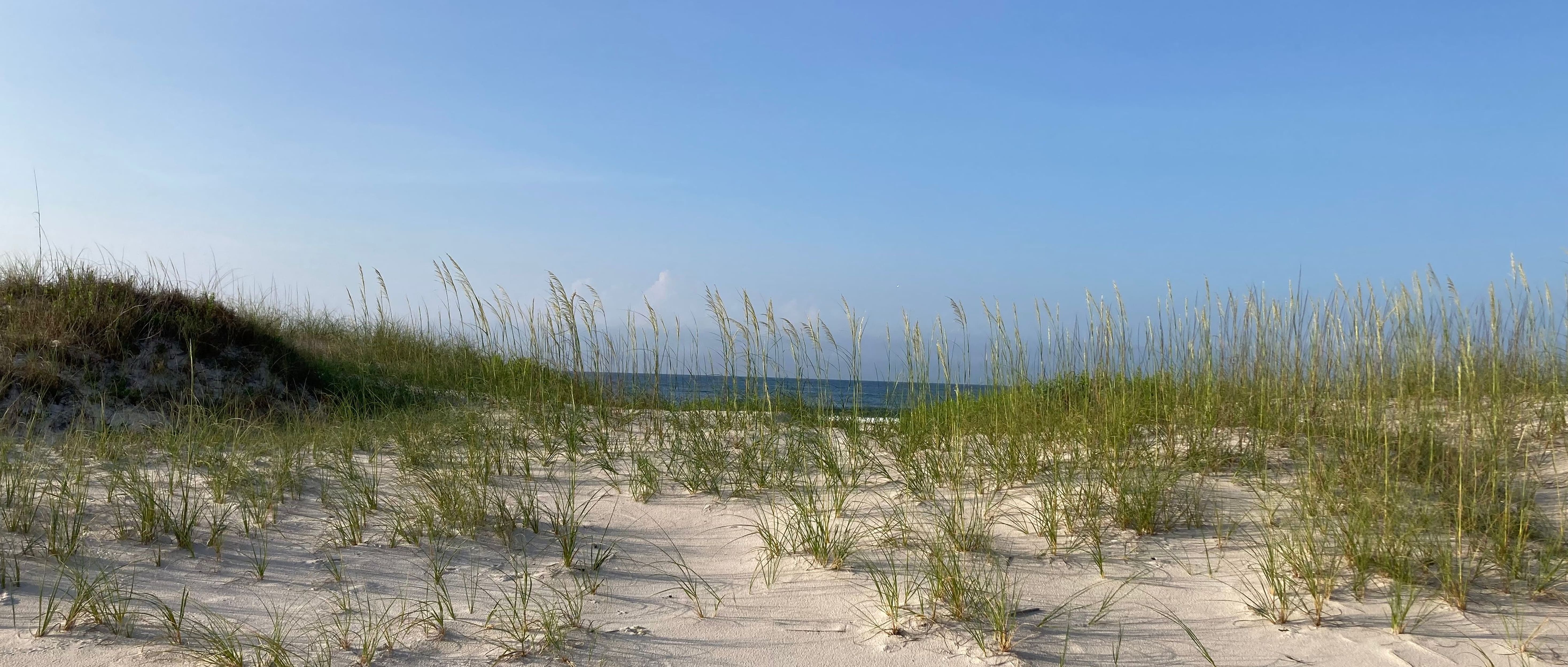 Gulf Shores Op2 1