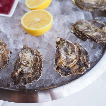Oysters