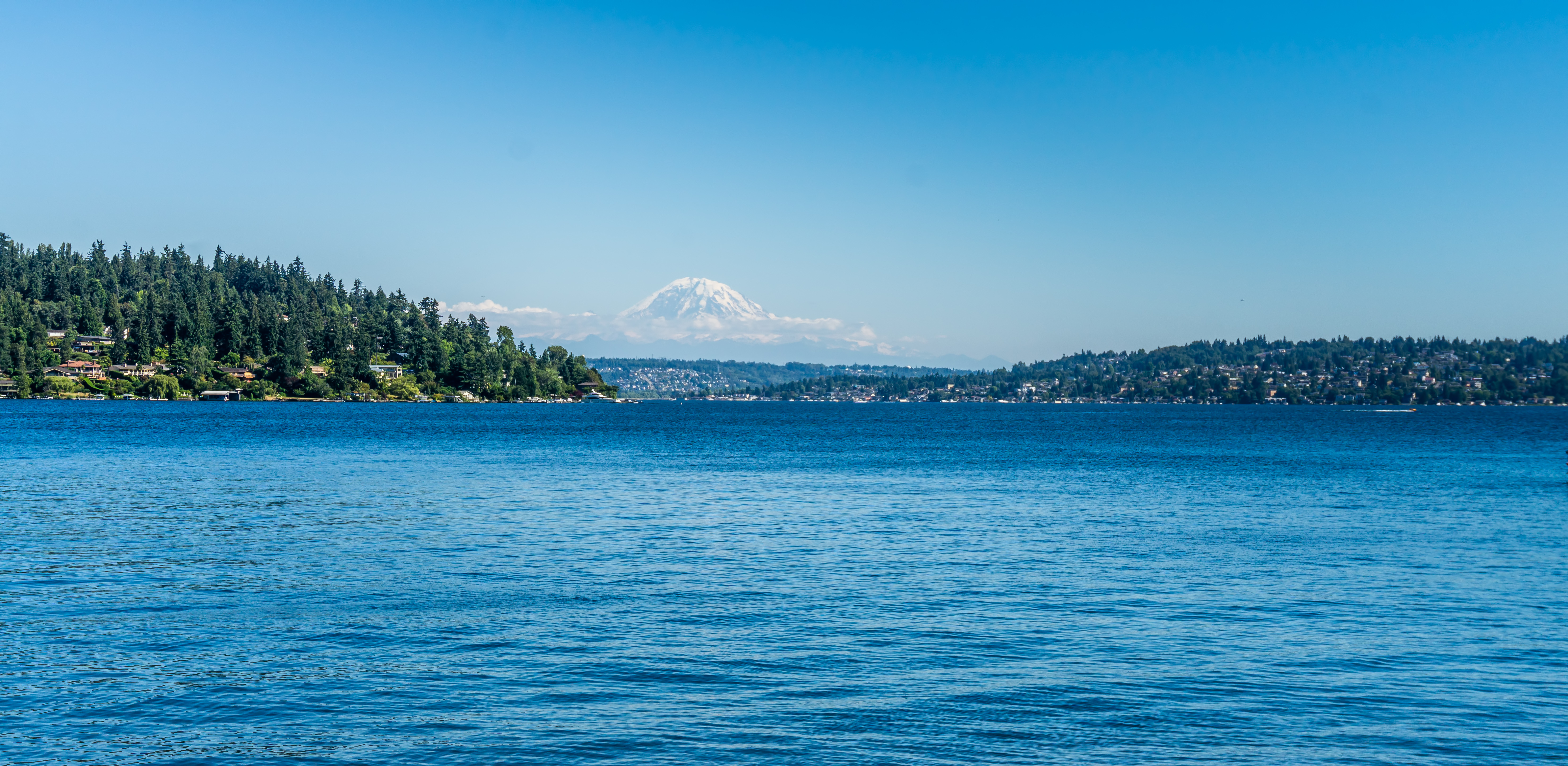 A view of mount rainier acroos lake washington in 2026 04 14 01 38 32 utc