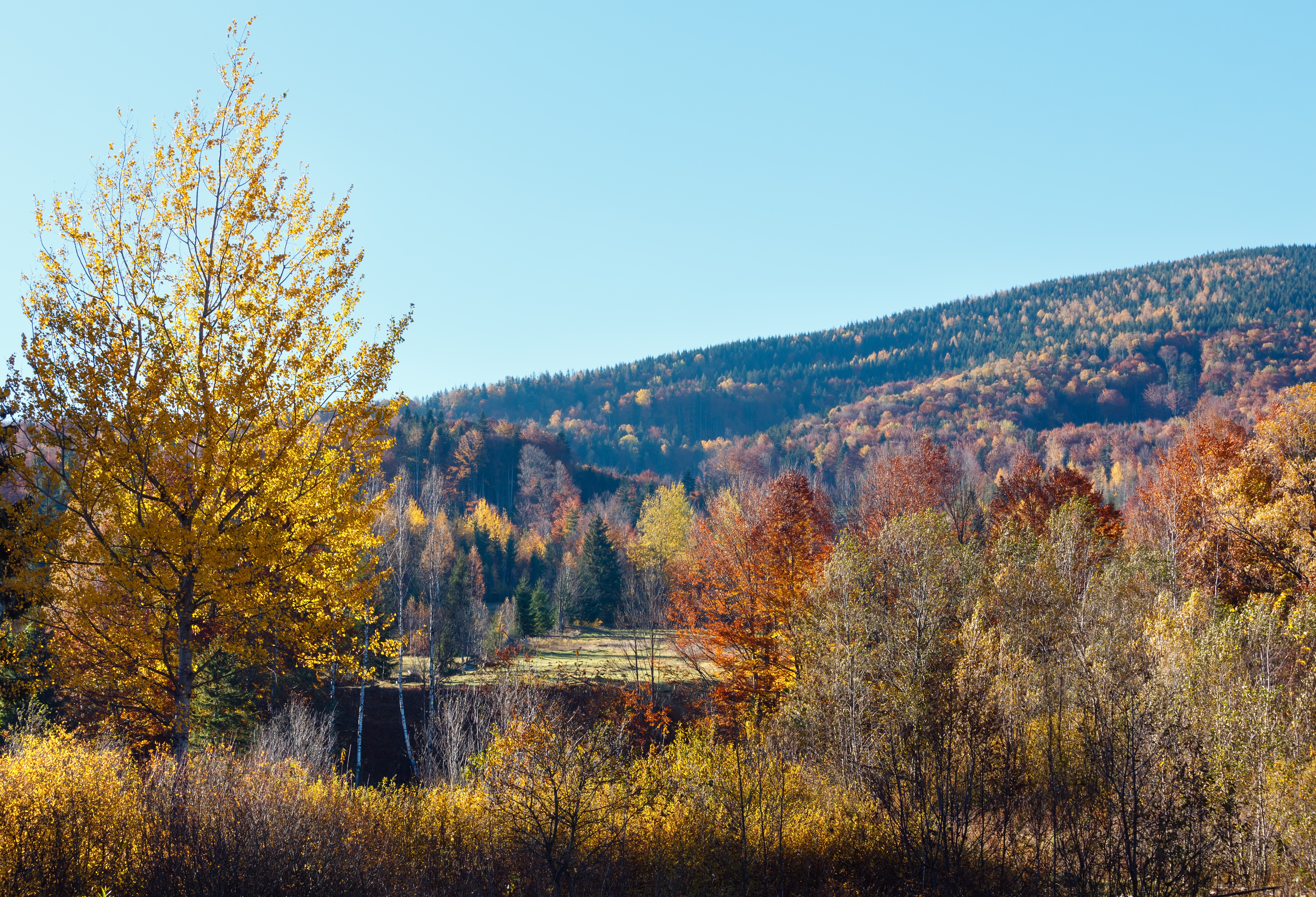 Autumn carpathian mountains landscape ivano frank 2026 03 25 23 42 22 utc