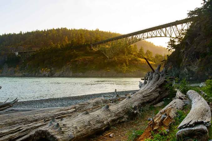 Bridge