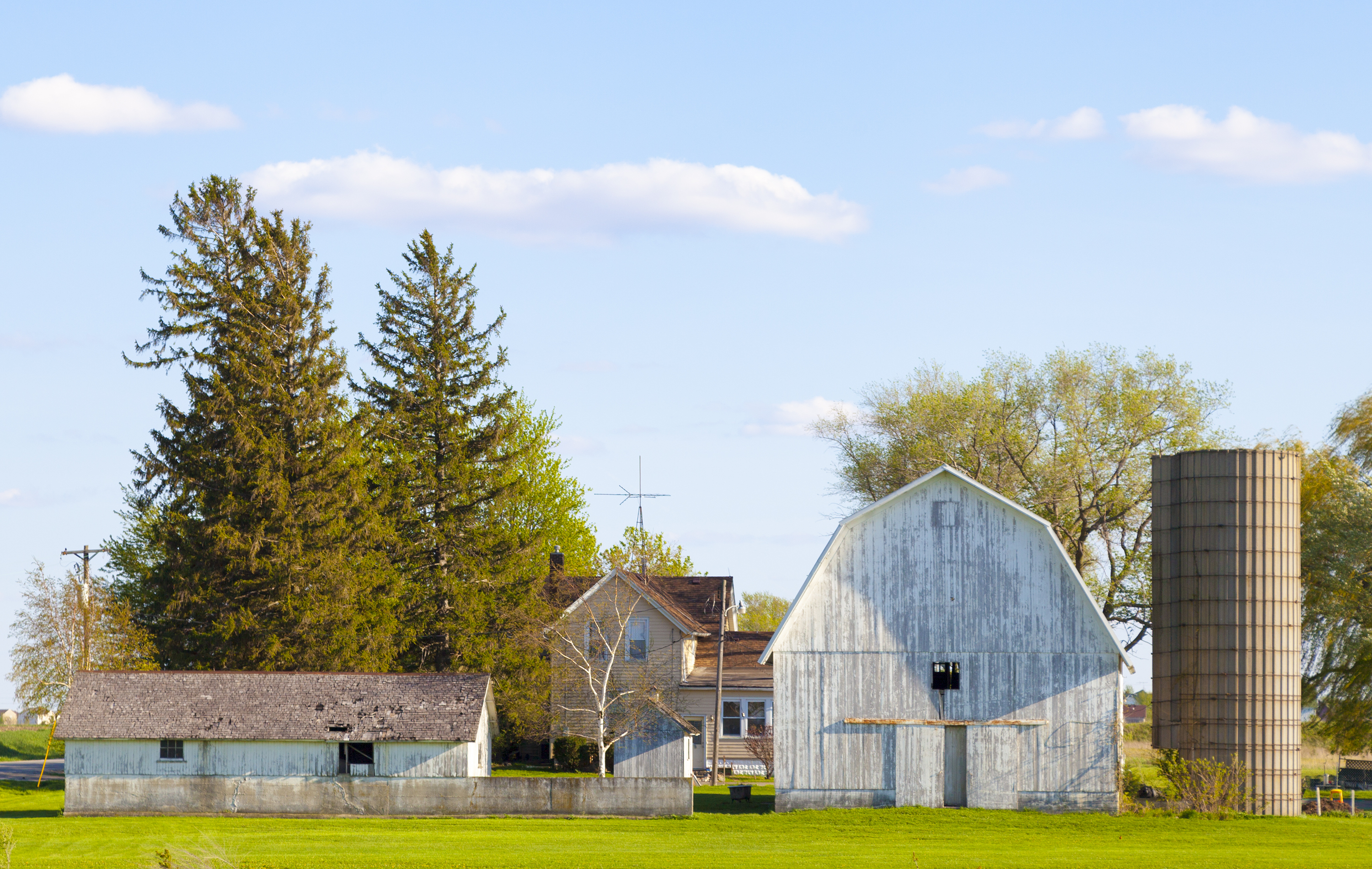Classic white farm buildings on sunny day 2026 03 26 11 29 24 utc