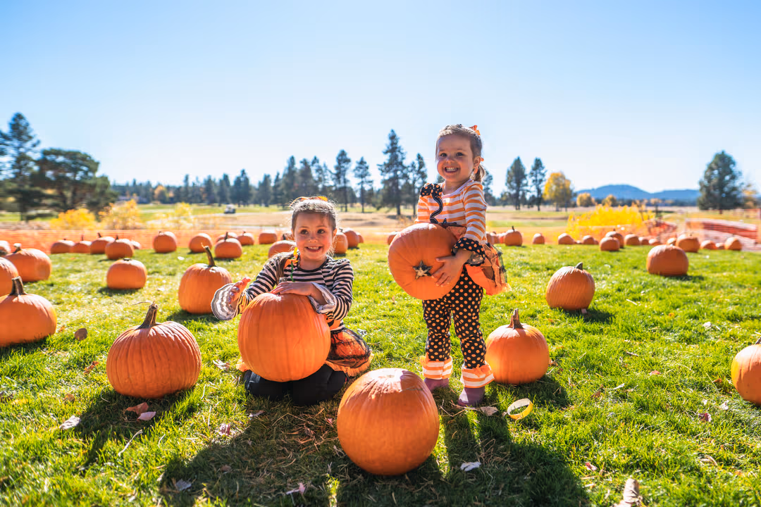 Fall fest