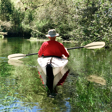 Kayak