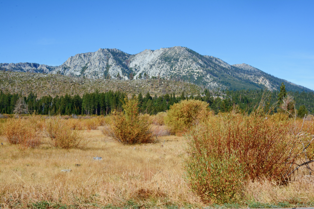 Nevada mountain landscape
