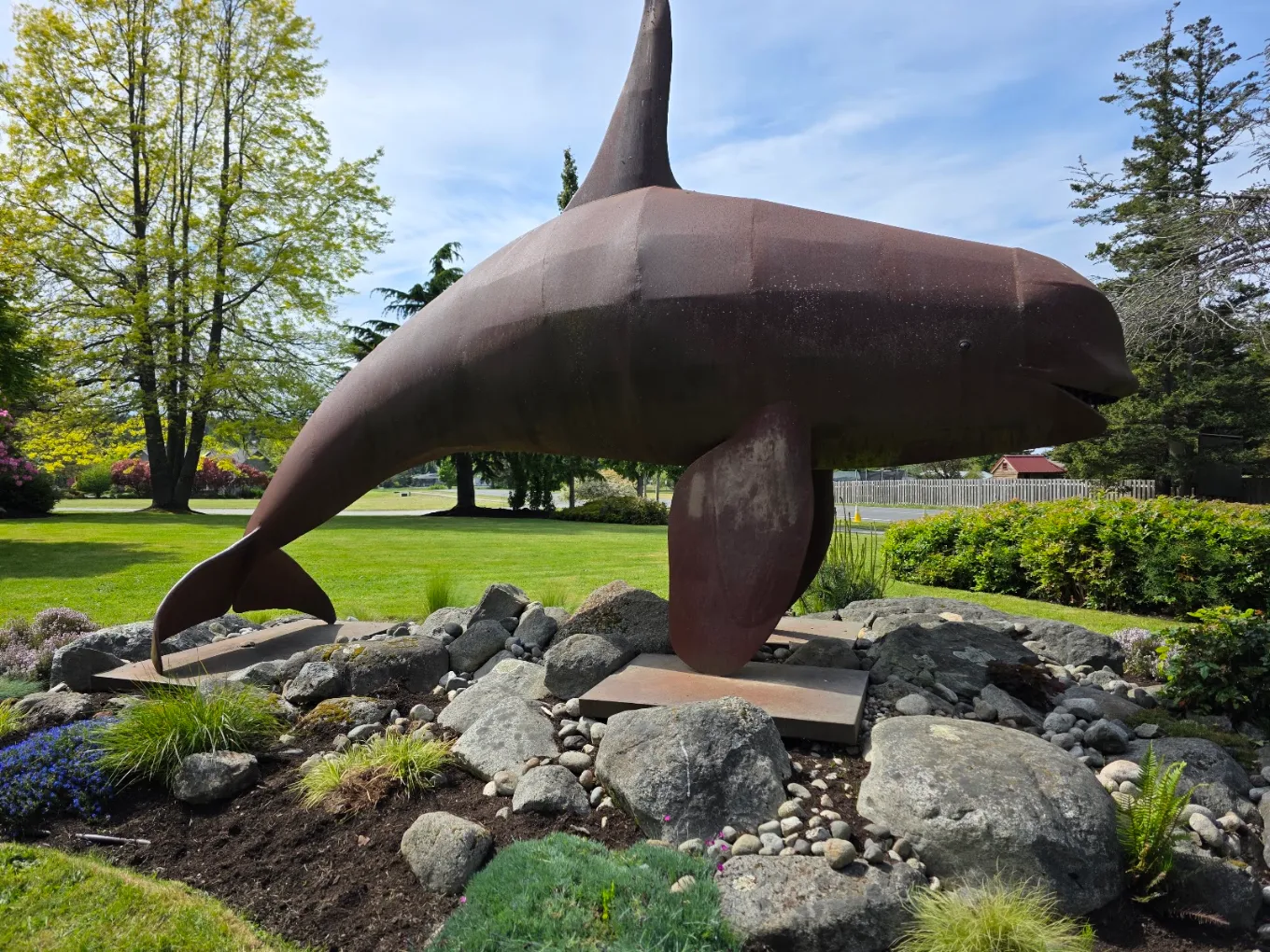 Orcas statu