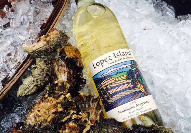 Wine lopez