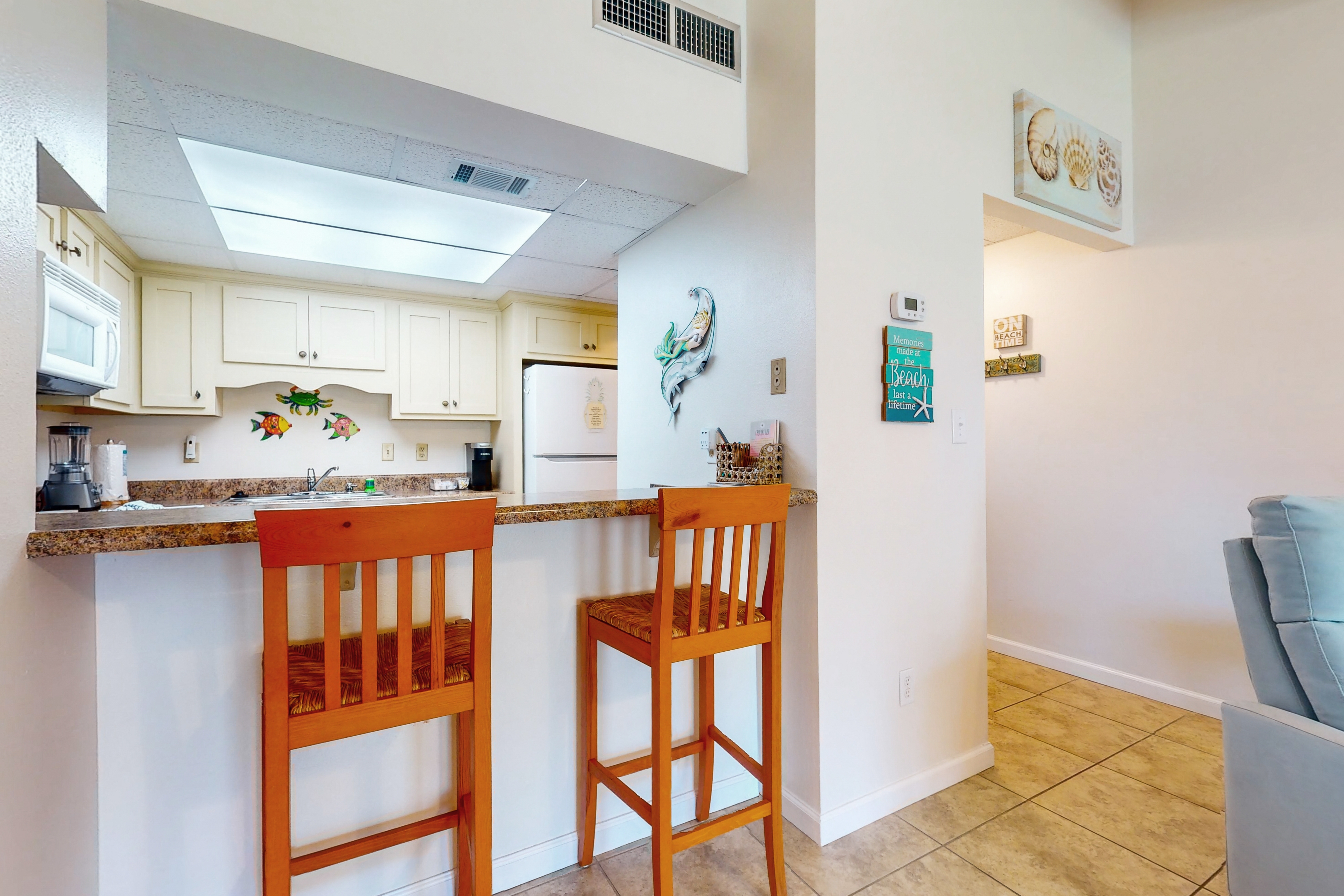 Sand Dollar E205