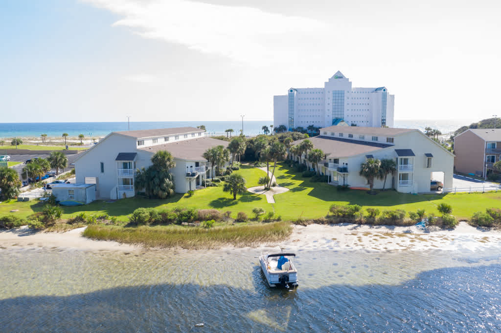 Sand Dollar E205