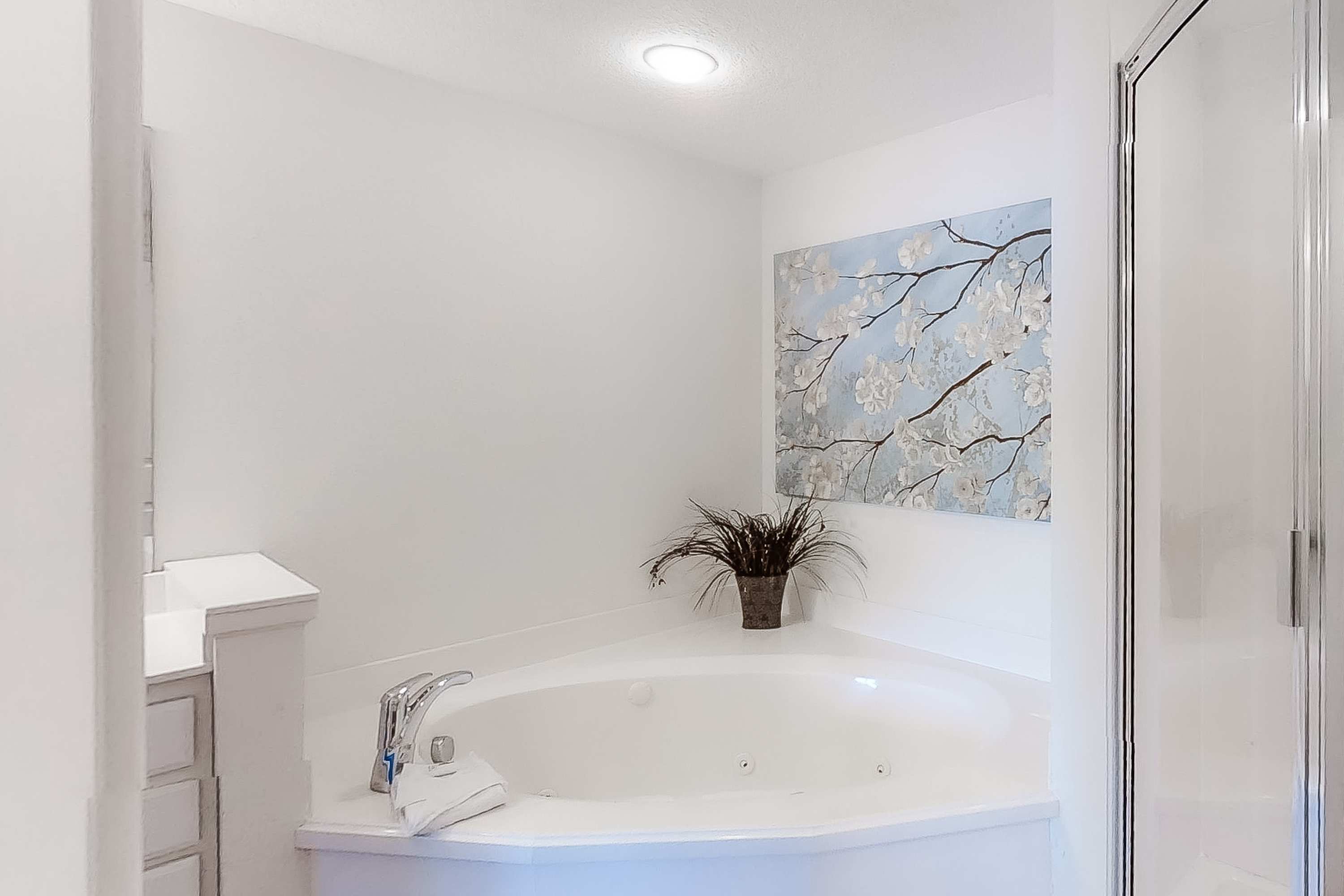 source-976496dc612558a17a090001b7d4da2479ffbad6.jpg