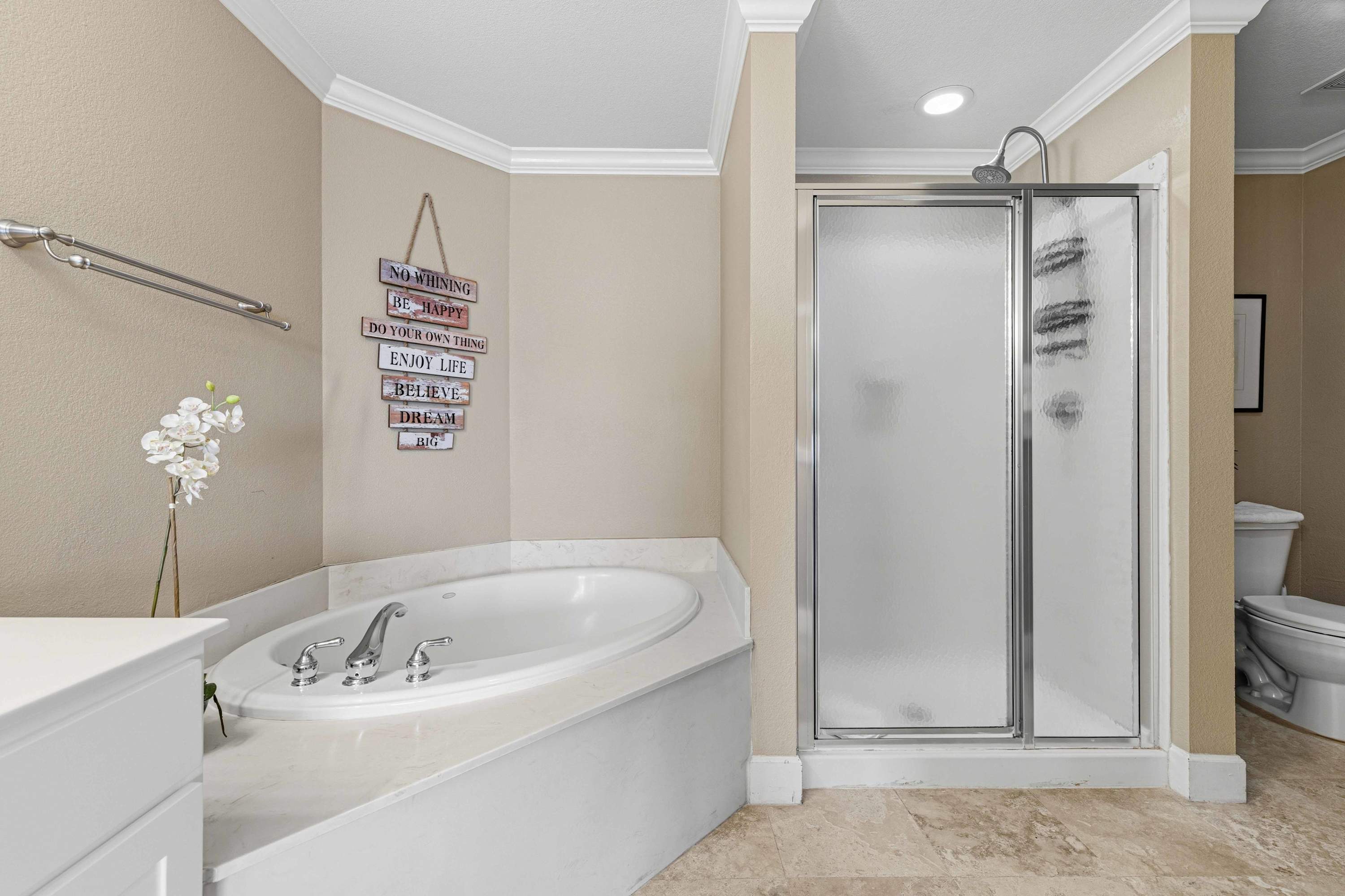 Master Bath with shower and tub