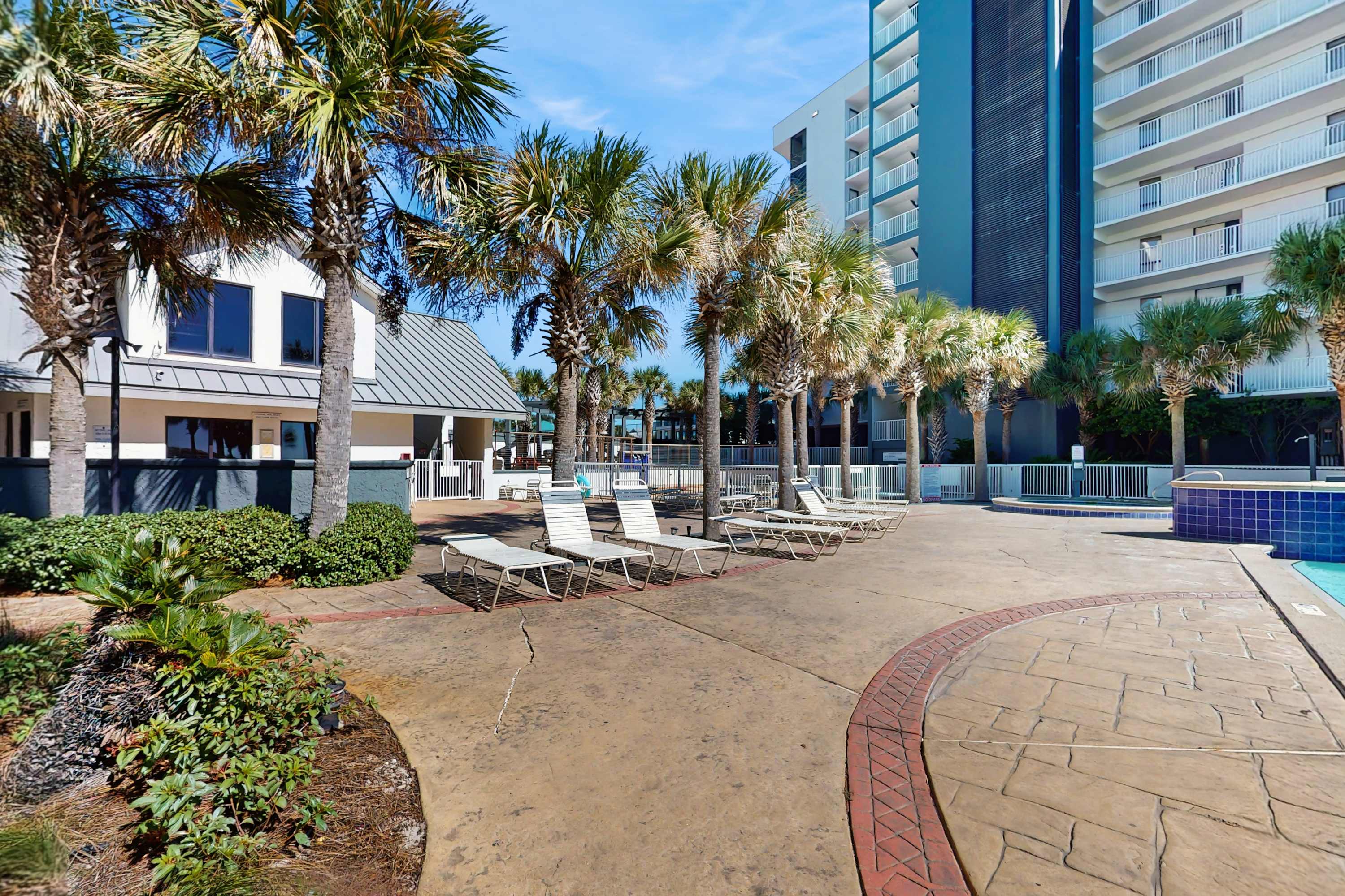 source-dc2a7d4f734e211a9aa6d06d78b3b6d0127ebc9d.jpg