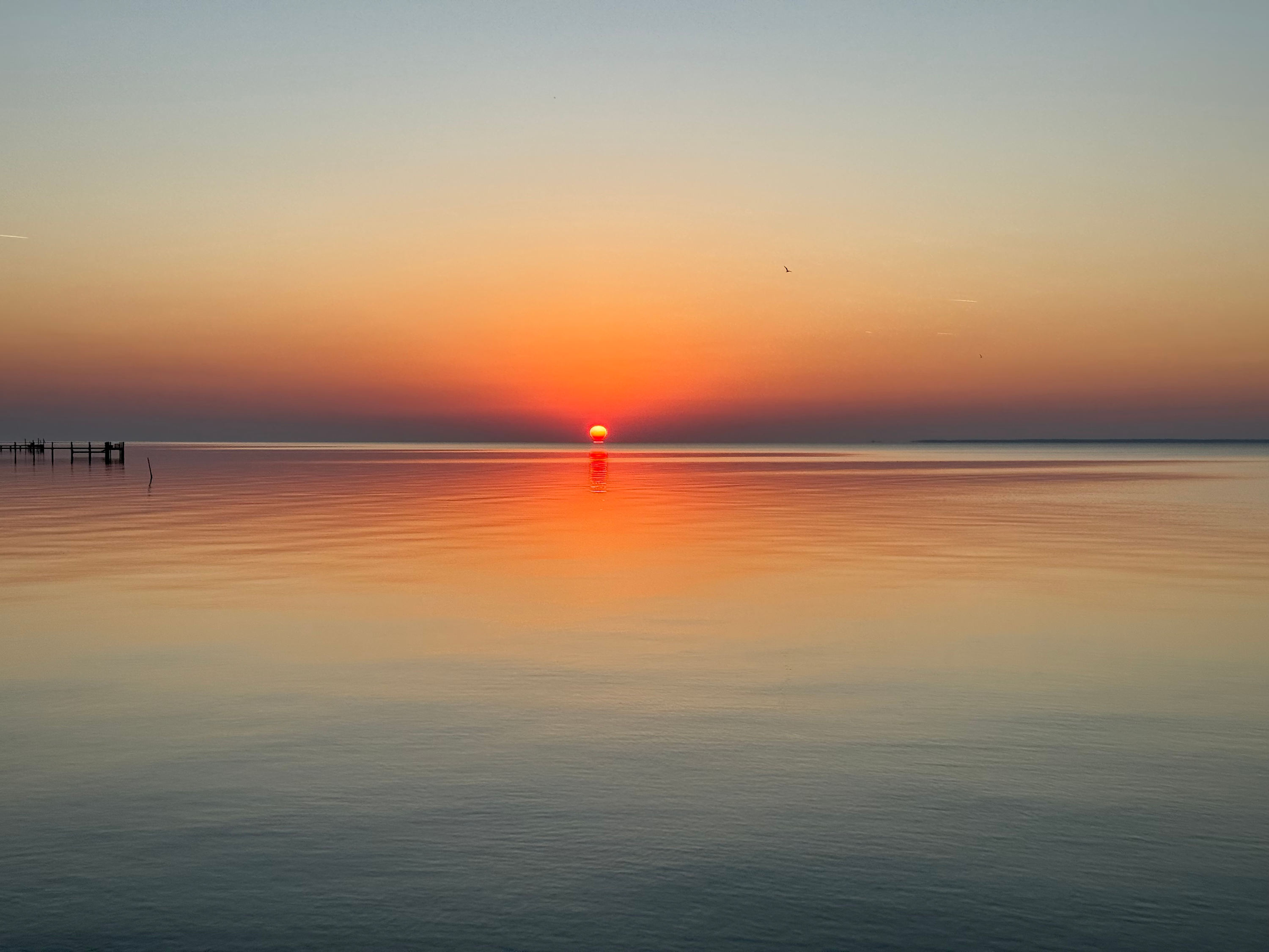 large-a9ea96088c98a75684dc1b8149a0c1a1d2171c93.jpg