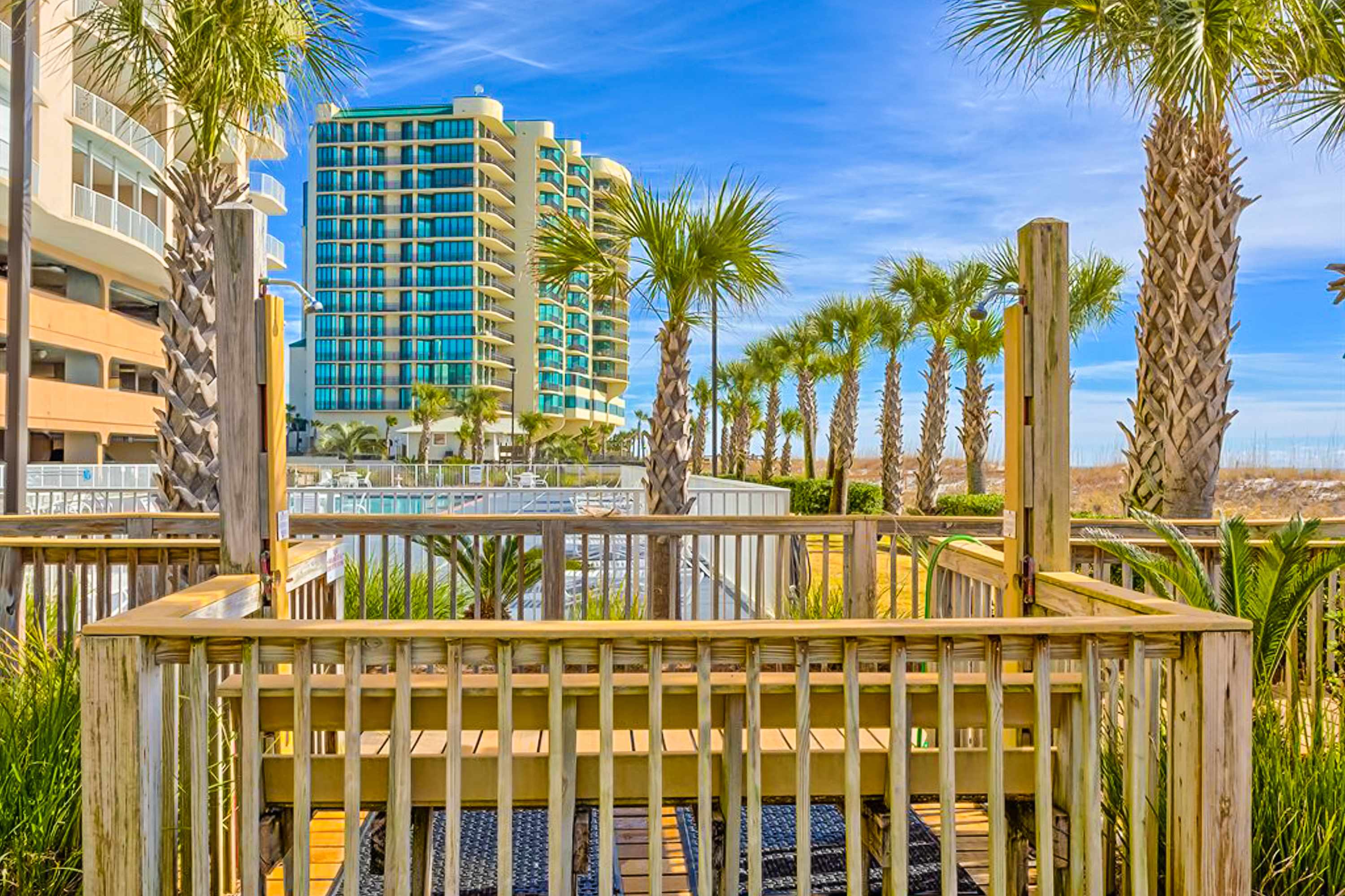 large-a3153b5878e122e51812bd31b95fb12153faab63.jpg