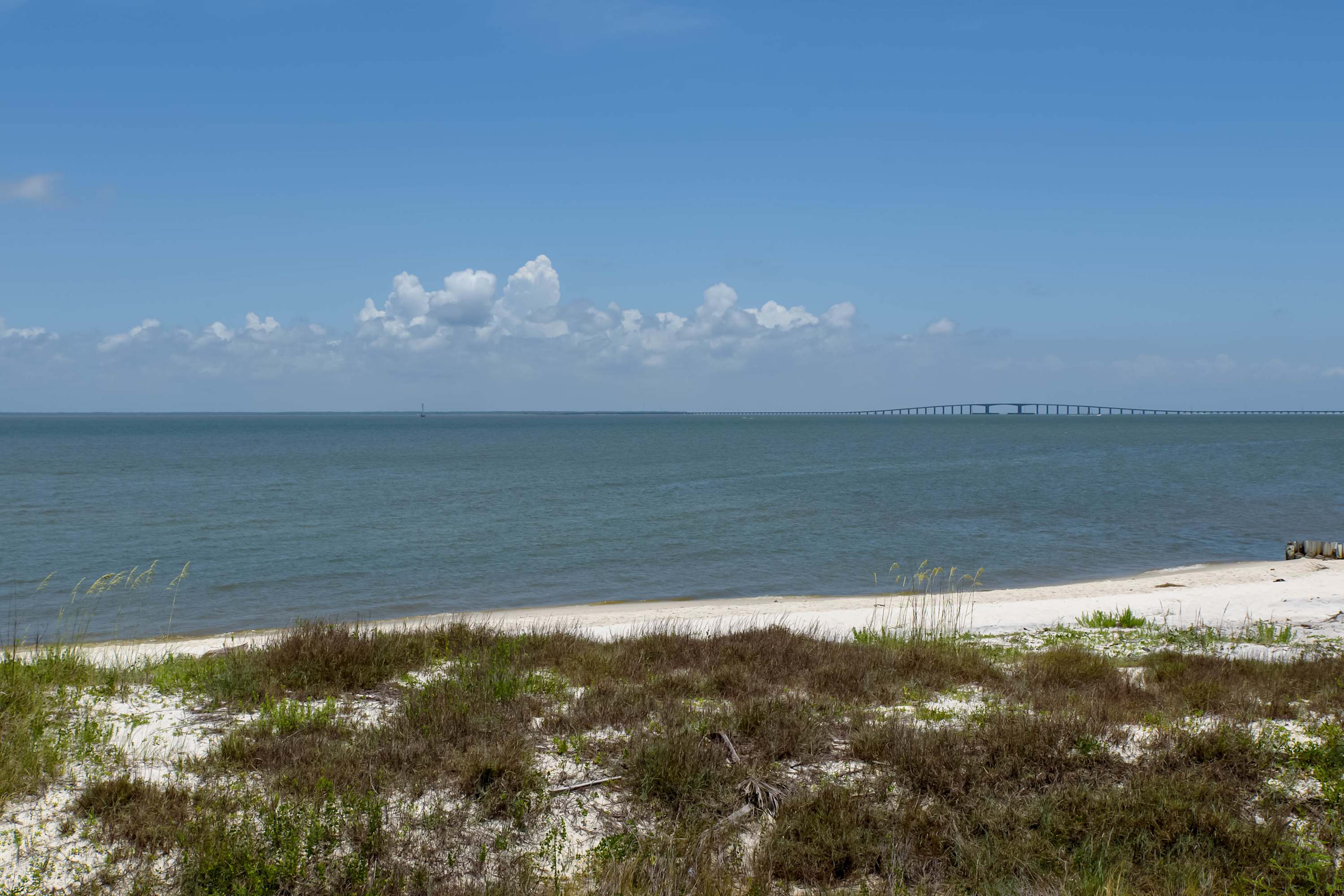 source-90003804ffaa6d73f34f7851e6f447fadca08bf0.jpg