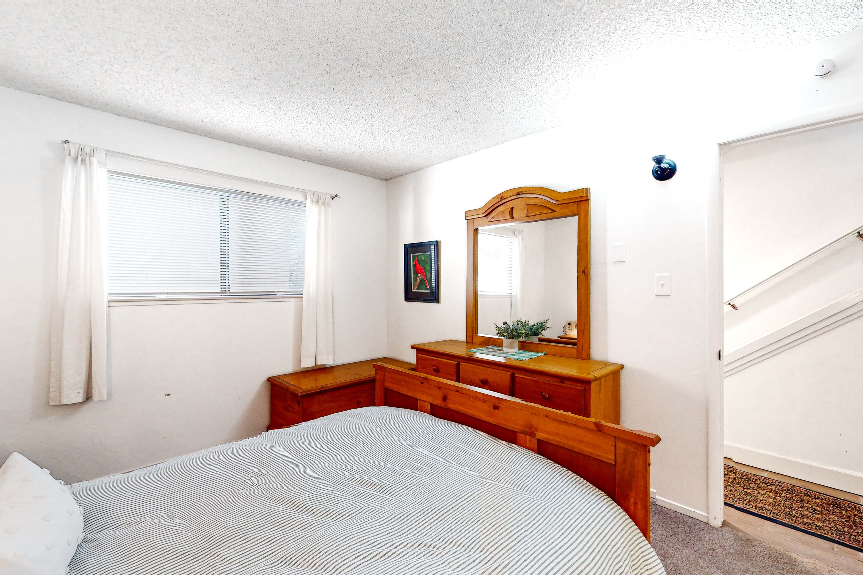 large-08e4bd9ef7075630da17addfc359927ad13223ed.jpg