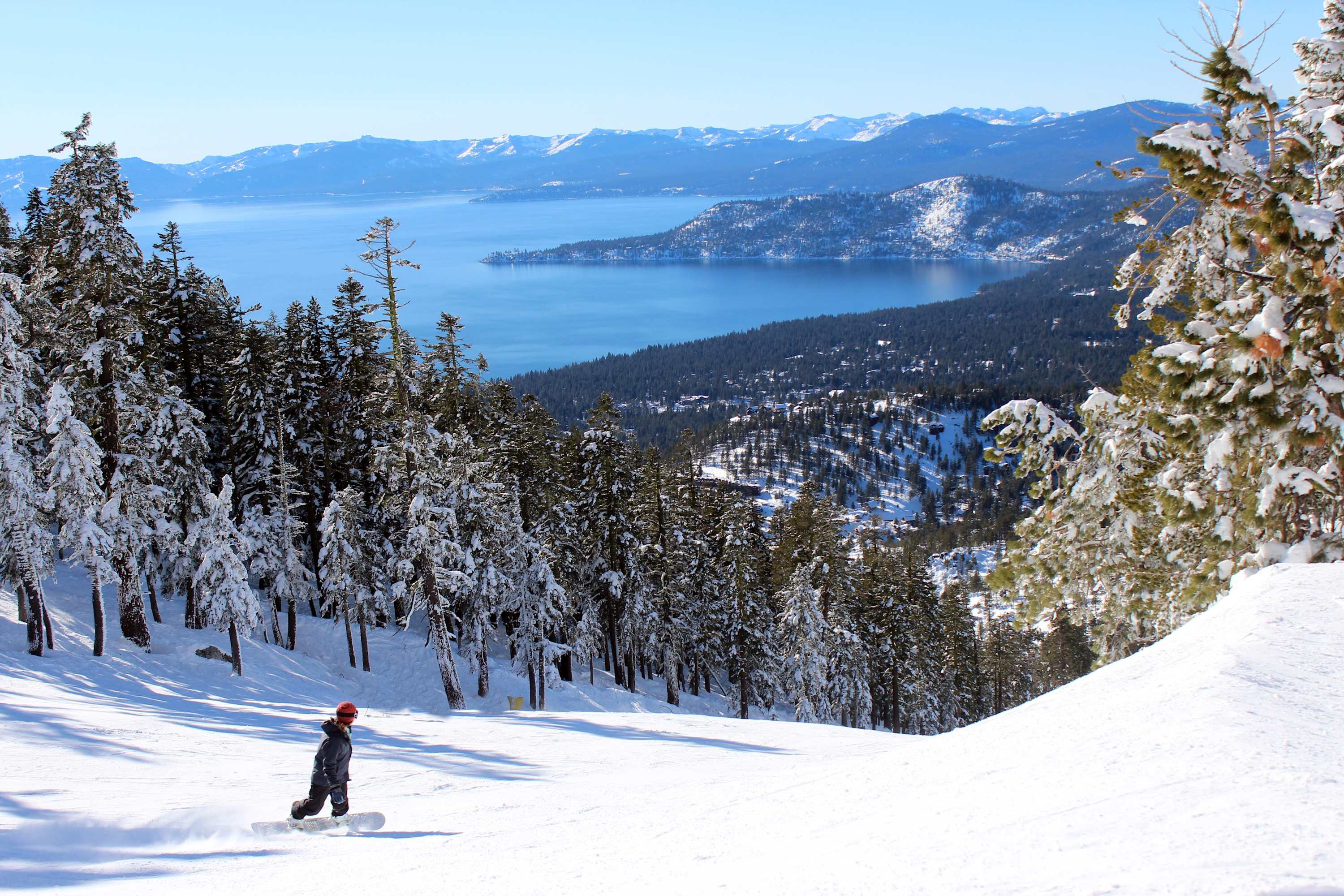 large-71c77f62fa220ca0e21e0f55f645a8161f45c03a.jpg