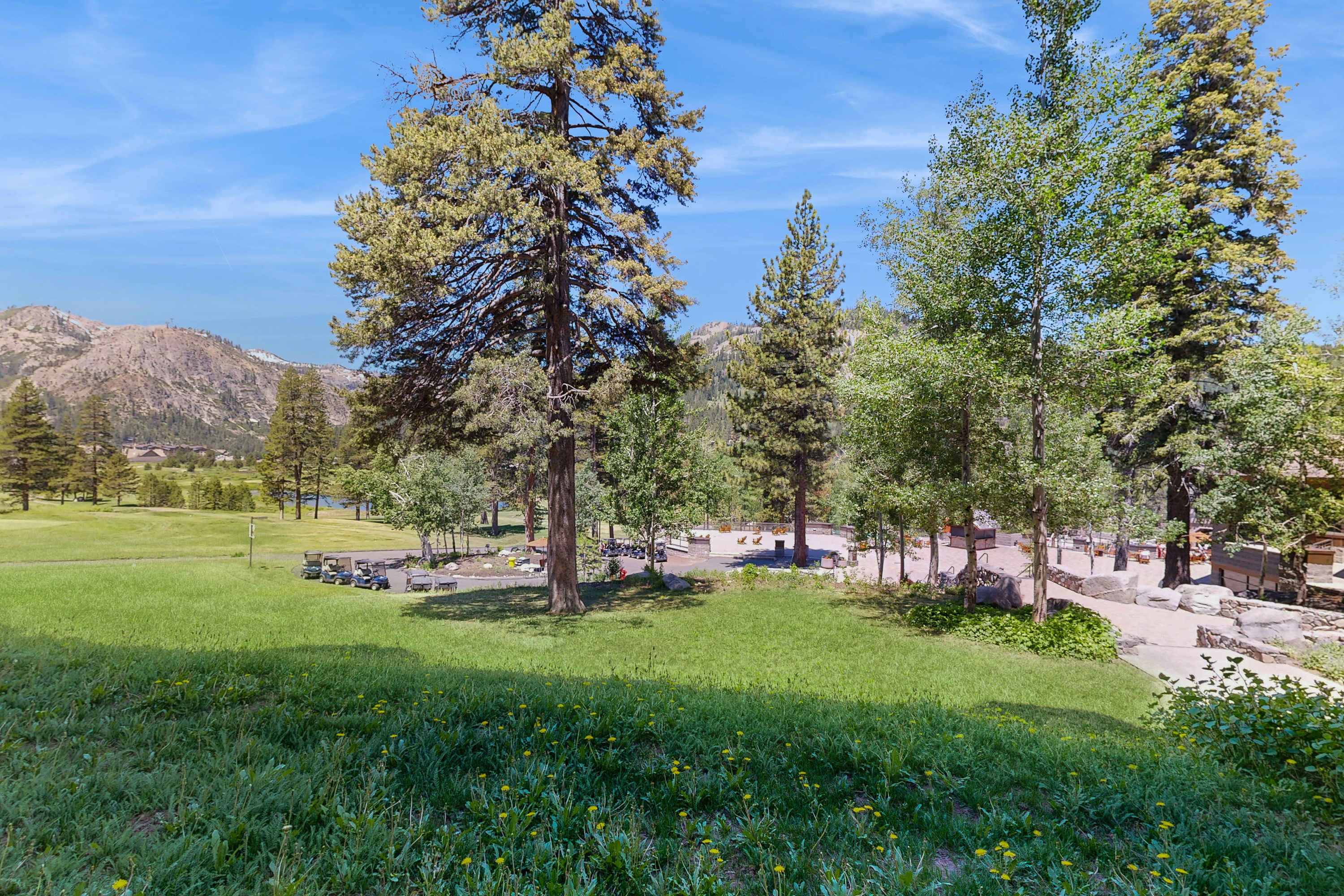 large-f1cf45cc0a75ac778387c98ecef54ac4e7c6ae3d.jpg