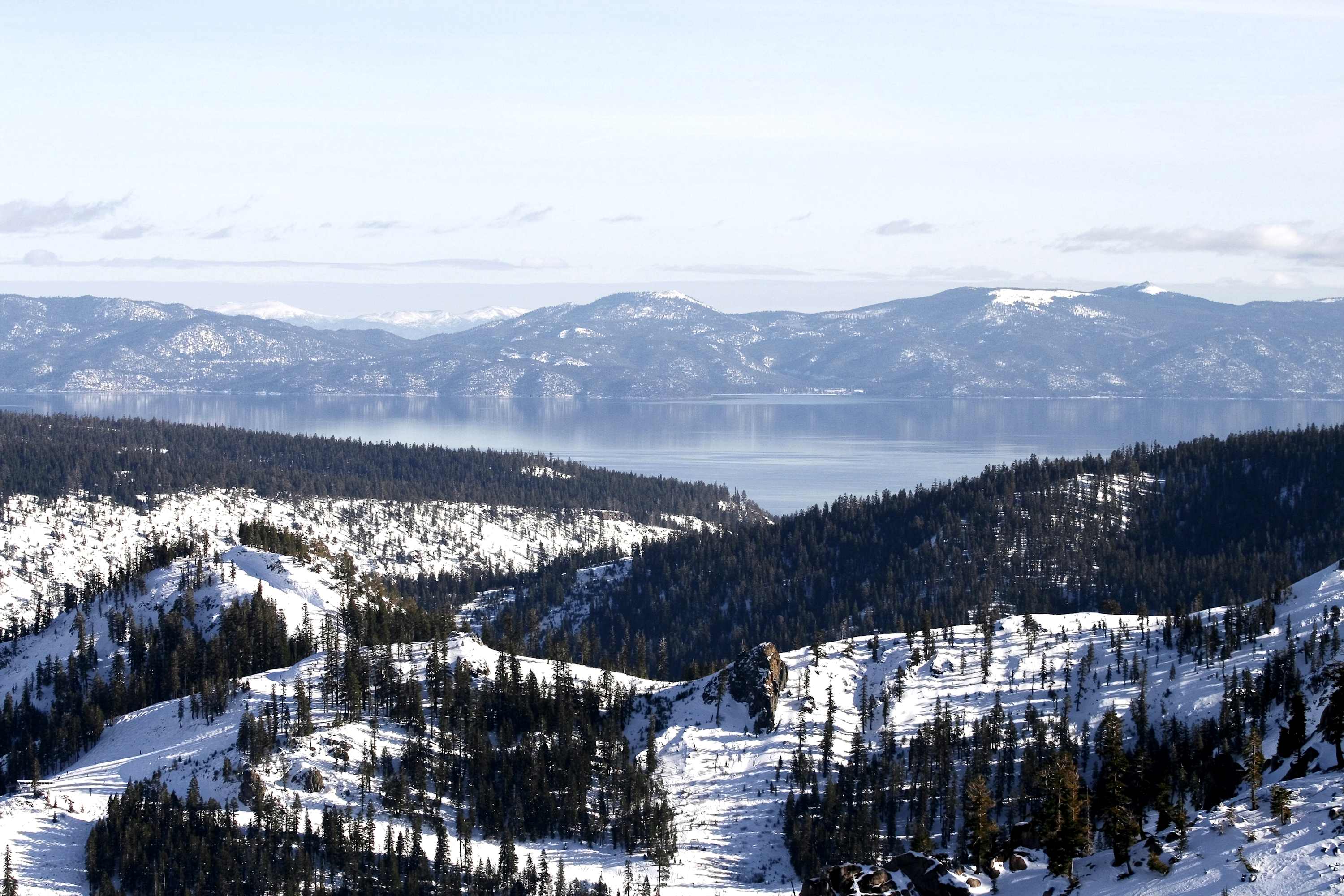 large-f6b7c98dd98cbcf67515475dec6504e1bb4c544a.jpg