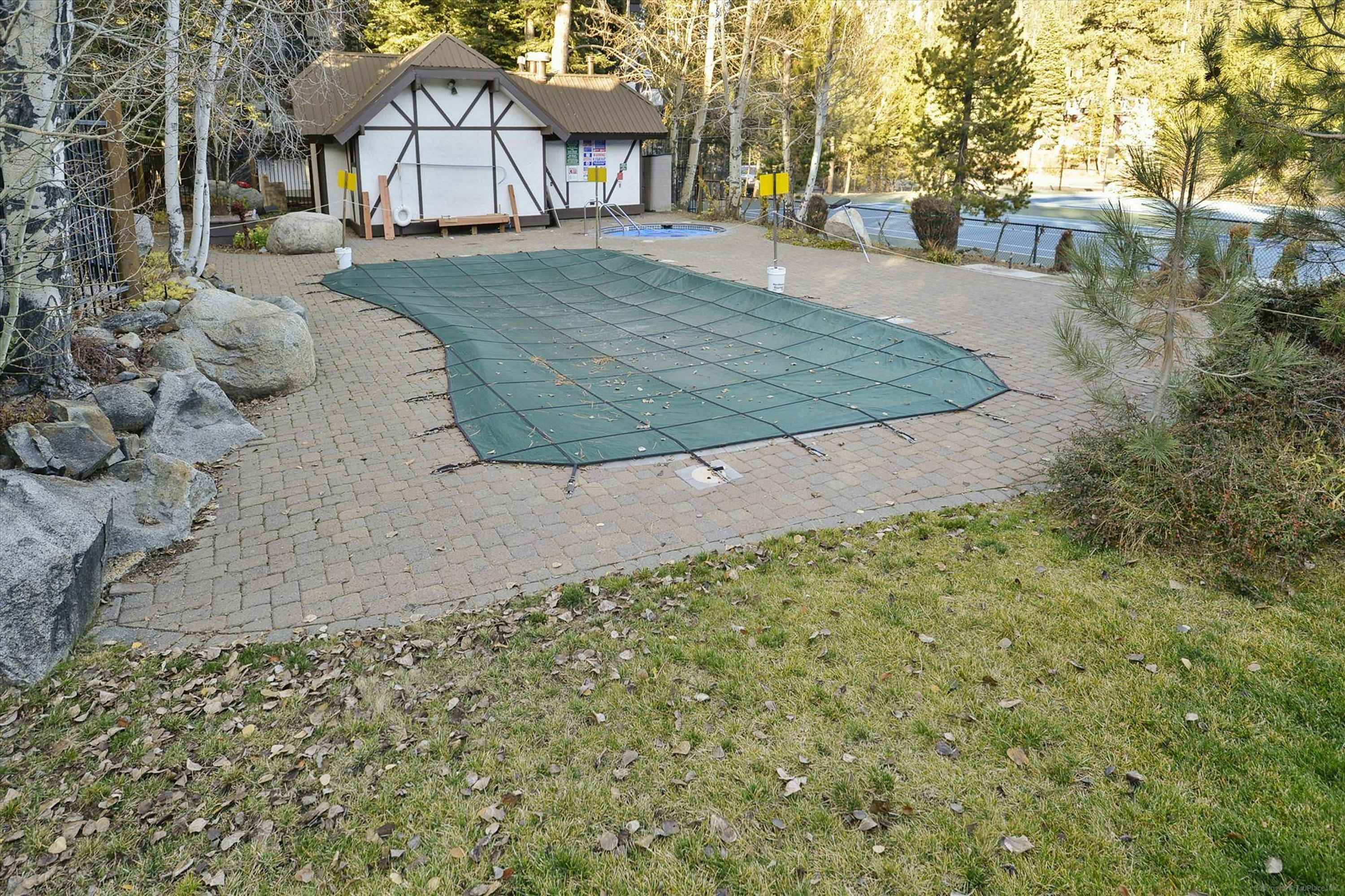 large-140d3a5b821df82e02677535db9fd95b7324c225.jpg