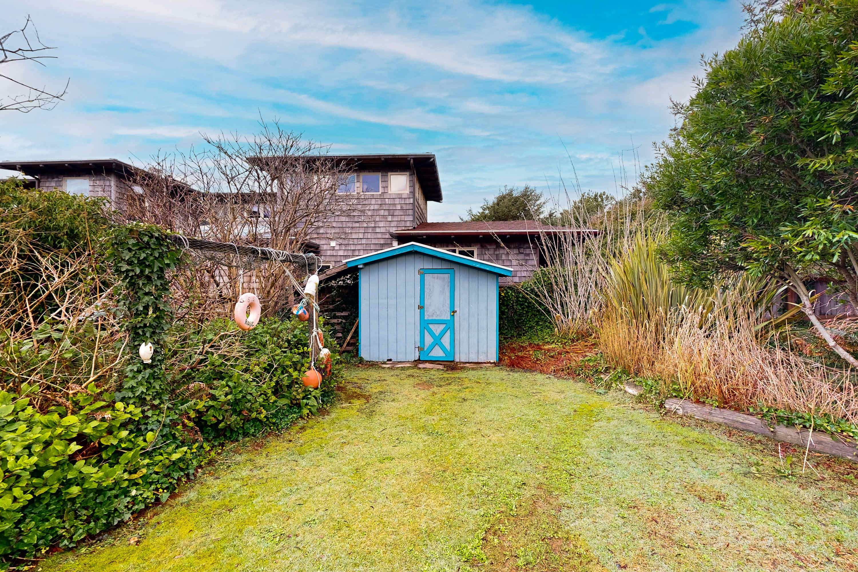large-b0b457cb1094f4a7a5e7962df6e51da43a42a3e6.jpg