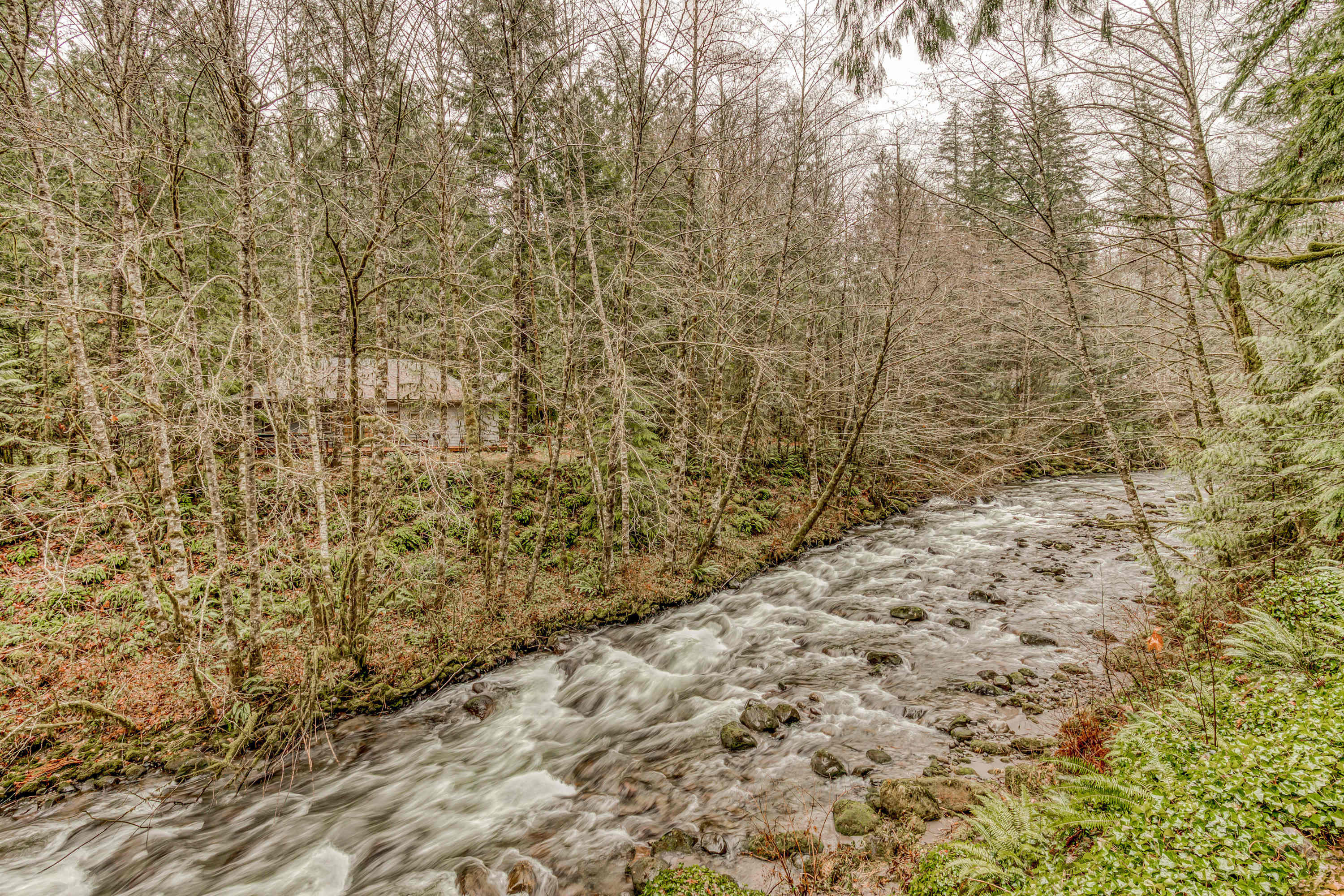 large-4c6d64de5fdaf1ad2a6a82ef1246aa269026e036.jpg