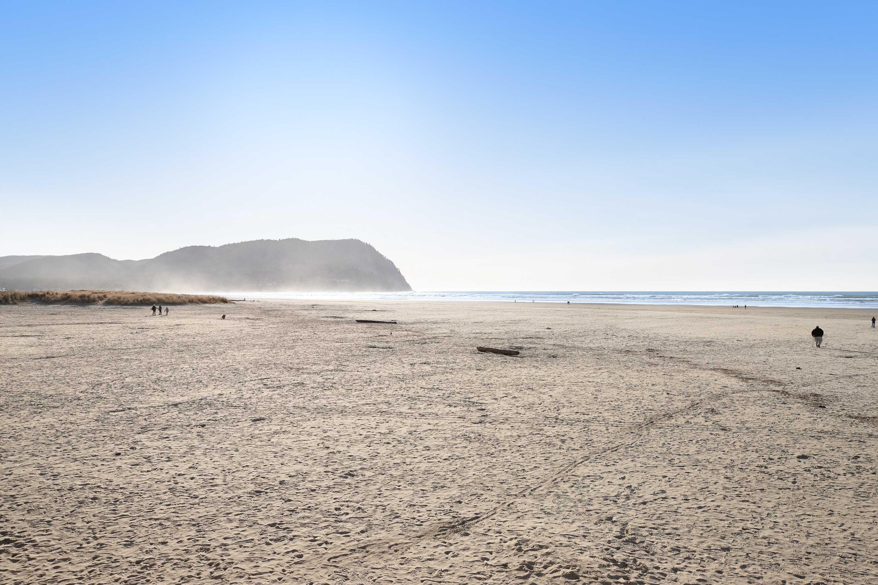large-004e33d9043ea1a3f71400e60ecaf7c808db4ba3.jpg