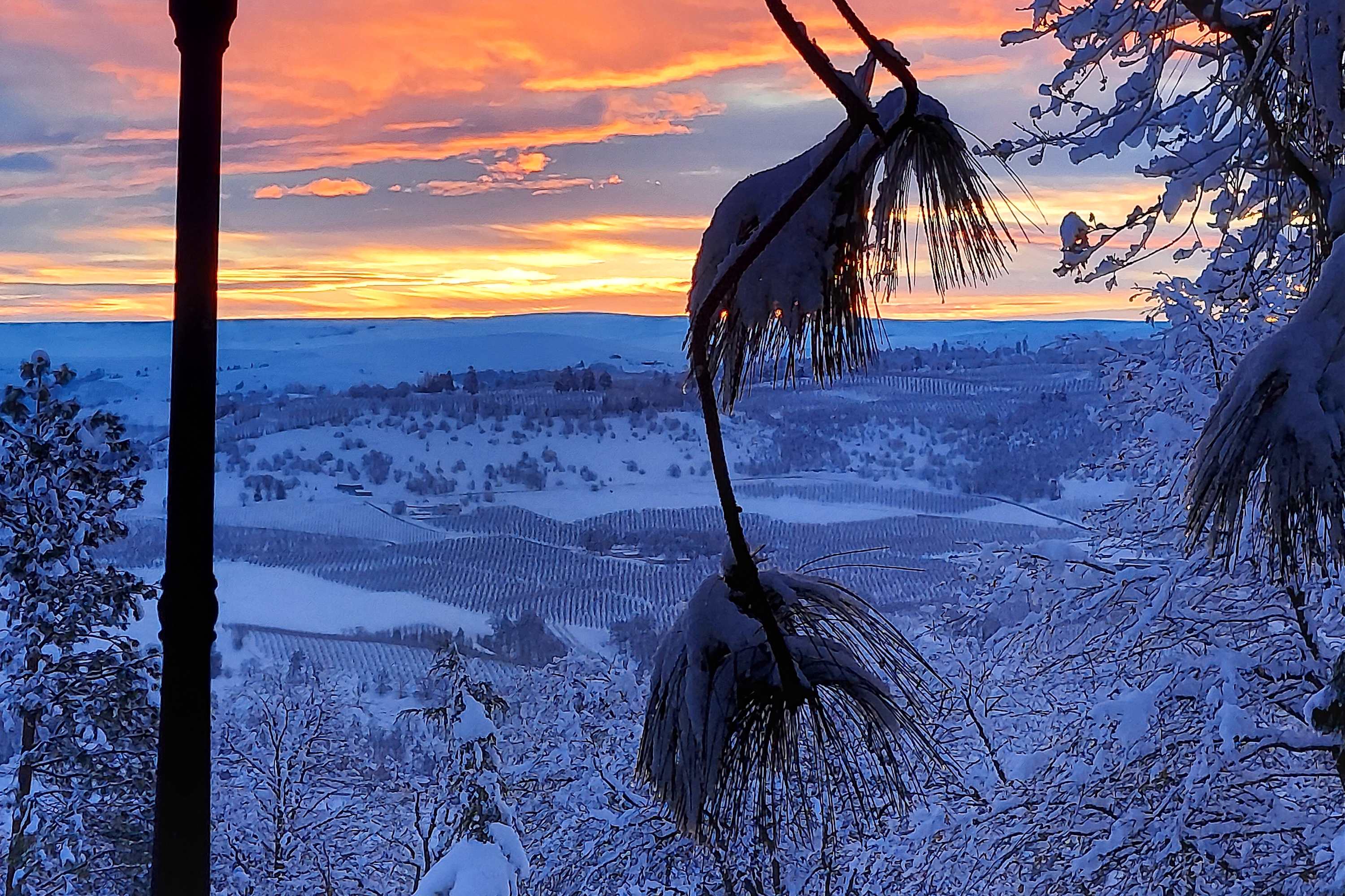 source-9bd332bef8a95690f0fcdb8dee482e4c30b69252.jpg