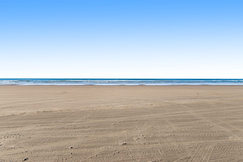 large-0da072680d71e117cb09fcf694f6be56fad398a5.jpg