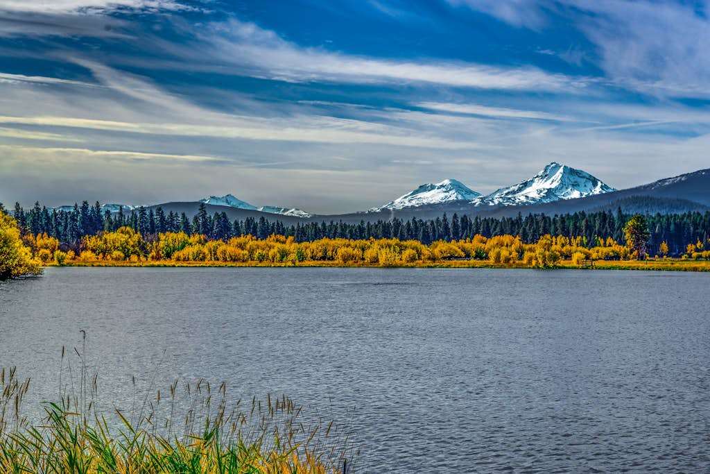 source-2cf6f134084313d27f4f8624e78fa269c0287de7.jpg