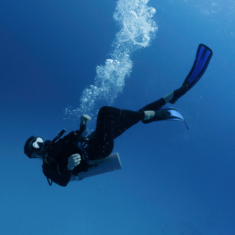 30 A Activities Dive