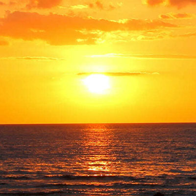 FL 30 A Thumbnail 400px