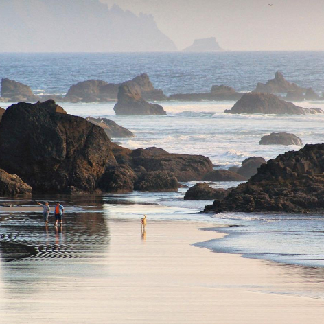 CB Ecola State Park