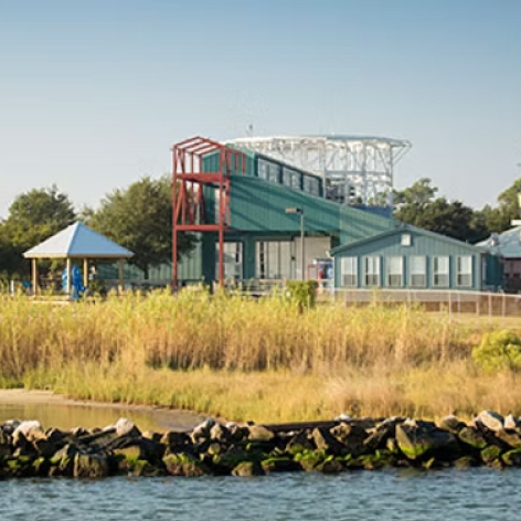 Dauphin Island Activities Alabama Aquarium
