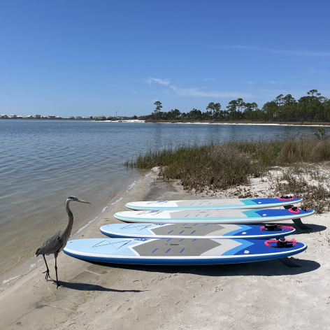 Dauphin Island Activities Pure Aloha