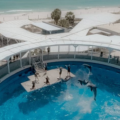 Destin Activities Gulfarium